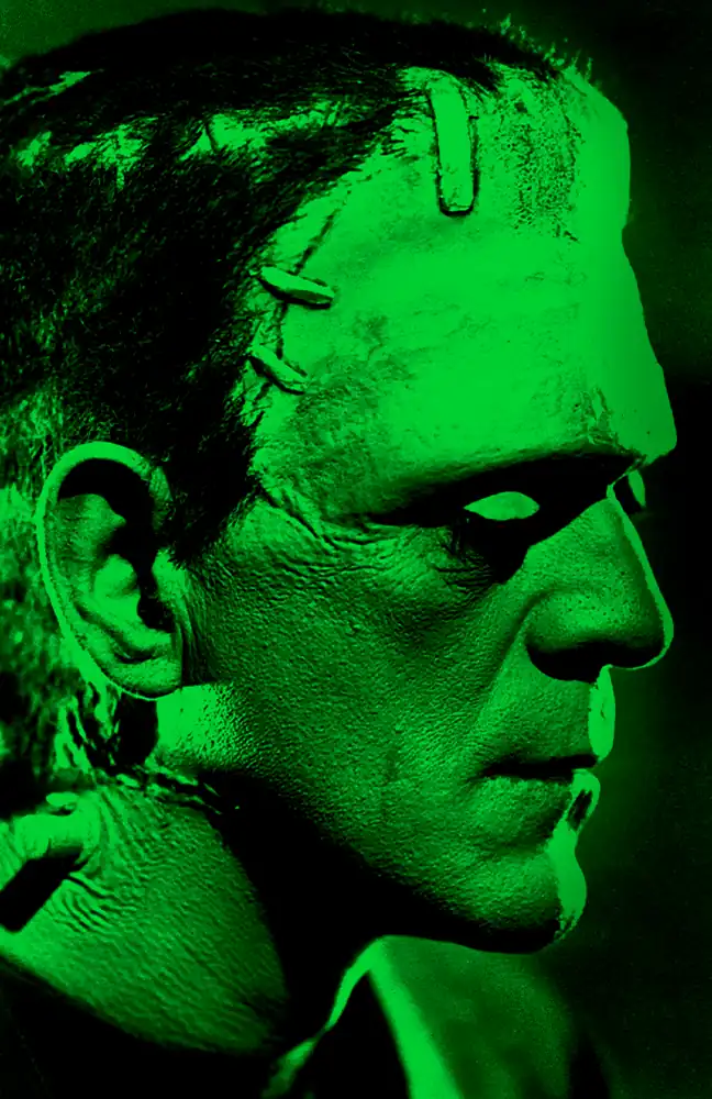 Capa do livro Frankenstein, de Mary Shelley